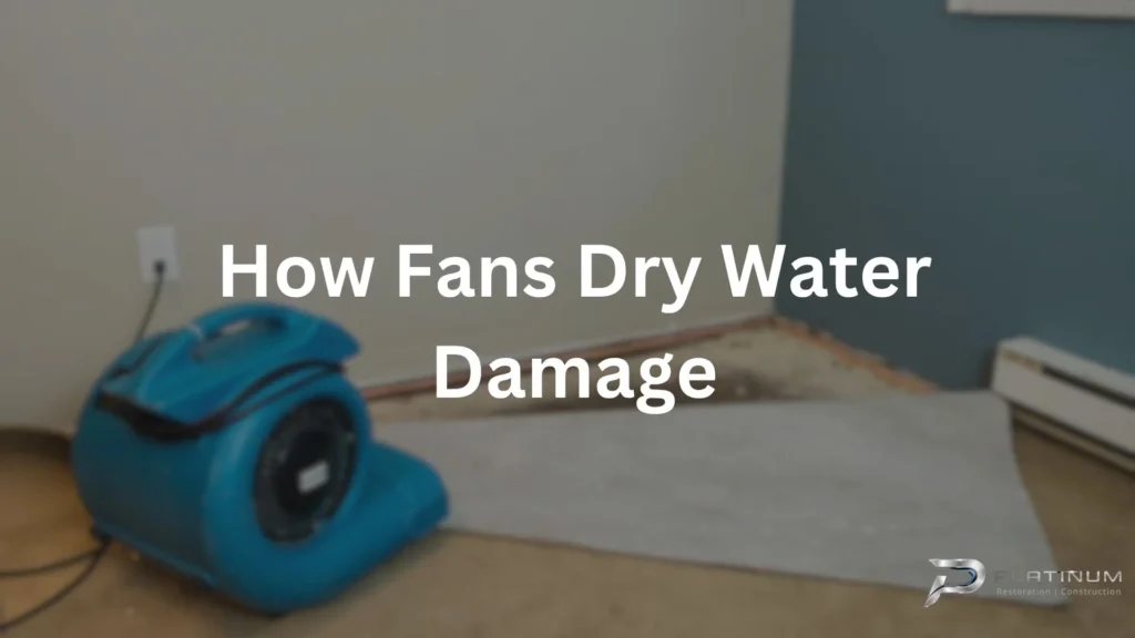 How Fans Dry Water Damage
