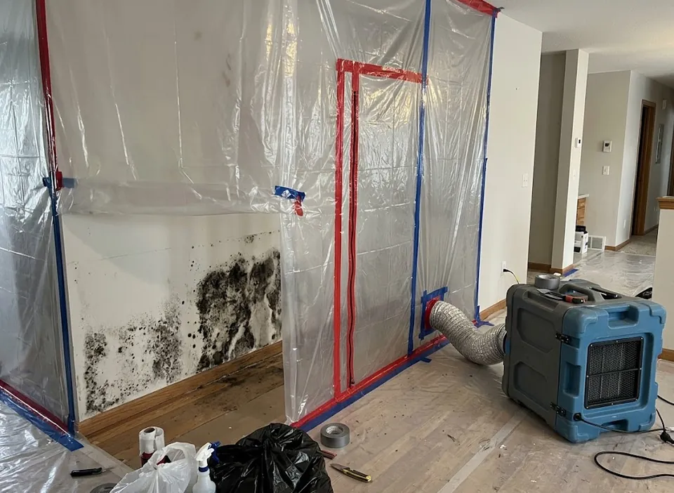 mold remediation
