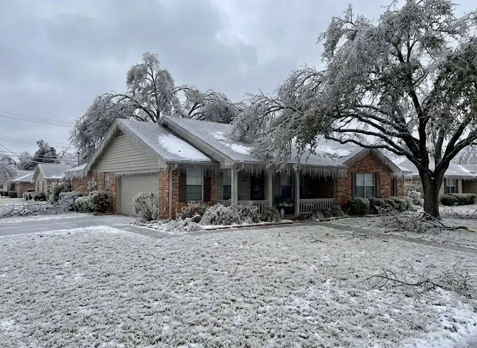 winter storm damage